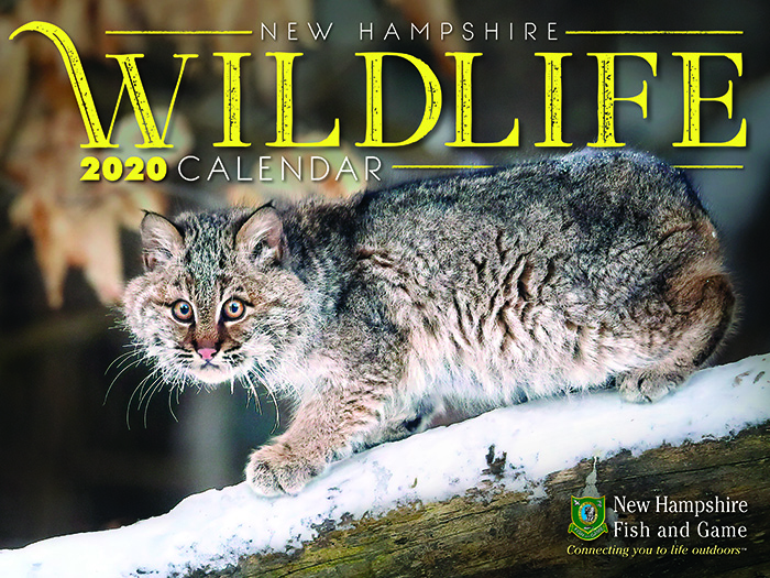 2020 Wildlife Calendar COVERS1 NH Fish and Game Department