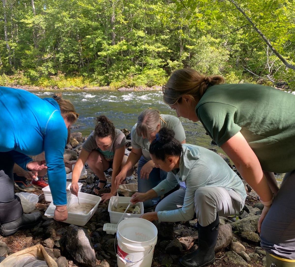 Educators Are Invited to July’s Watershed Ecology Institute Workshop