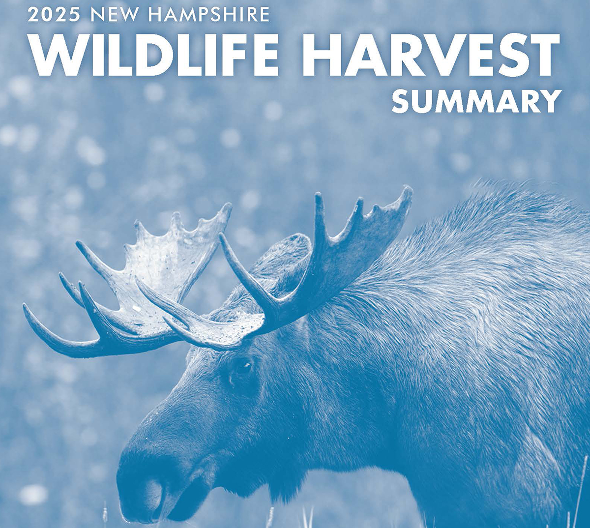 2025 New Hampshire Wildlife Harvest Summary Now Available